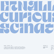 Ali Rasheed portfolio website