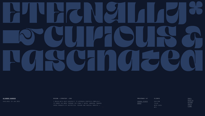 Ali Rasheed portfolio website 3