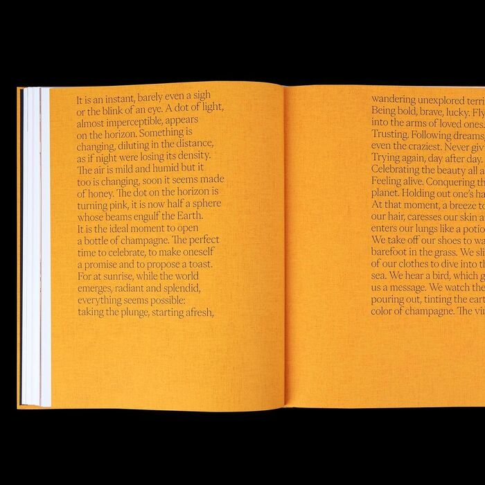 Veuve Clicquot: Solaire Culture exhibition catalog 5