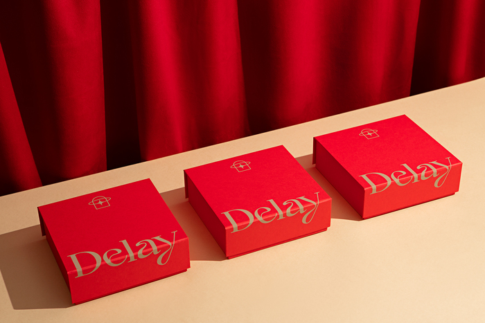 Delay visual identity 3