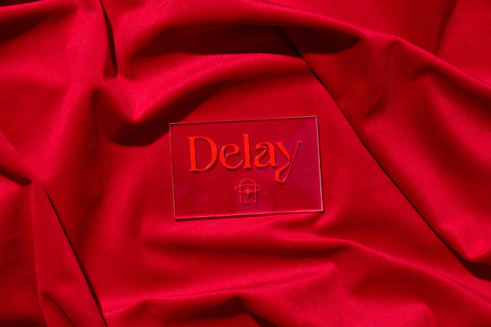 Delay visual identity 5