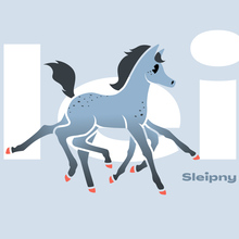 Sleipny visual identity