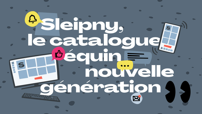Sleipny visual identity 3
