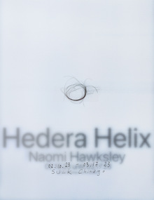 <cite>Hedera Helix</cite> at SULK Chicago exhibition flyer