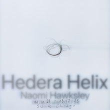 <cite>Hedera Helix</cite> at SULK Chicago exhibition flyer