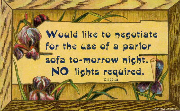 “Would like to negotiate for the use of a parlor sofa” postcard