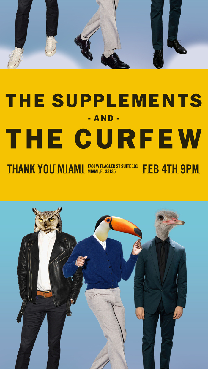 The Supplements concert poster 2