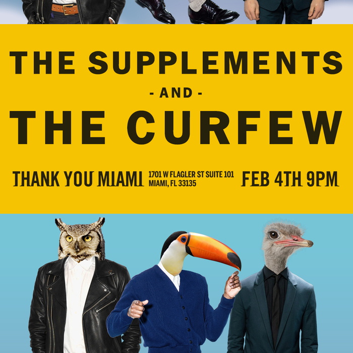 The Supplements concert poster 1