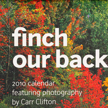 Finch Paper identity