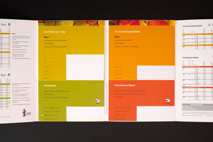 Finch Paper identity 7