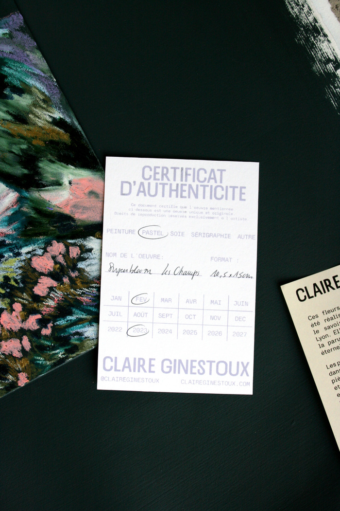 Claire Ginestoux identity 4