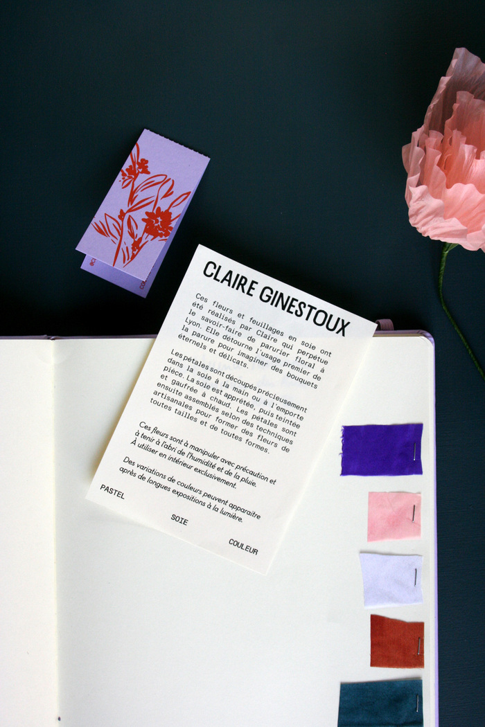 Claire Ginestoux identity 6