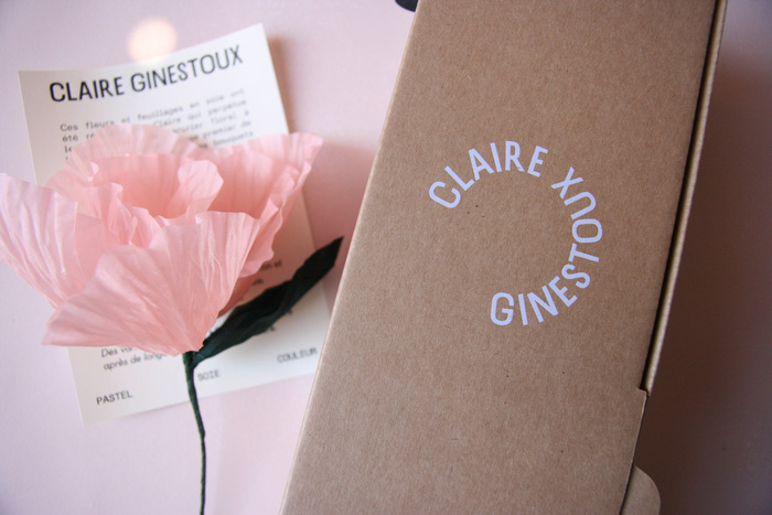 Claire Ginestoux identity 2