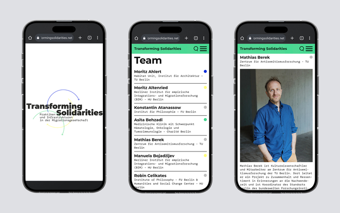 Transforming Solidarities website 4