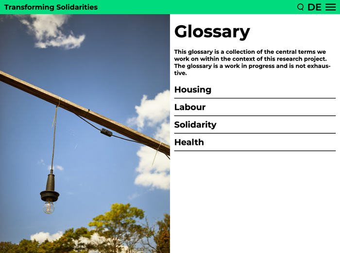 Transforming Solidarities website 5