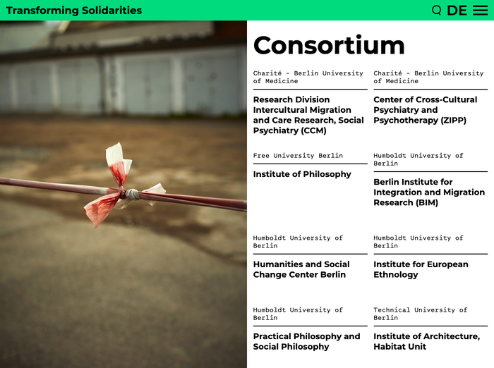 Transforming Solidarities website 6