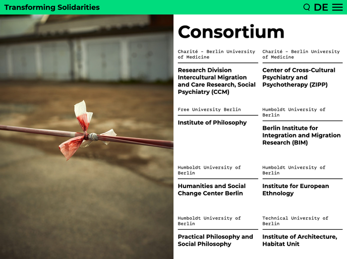 Transforming Solidarities website 6