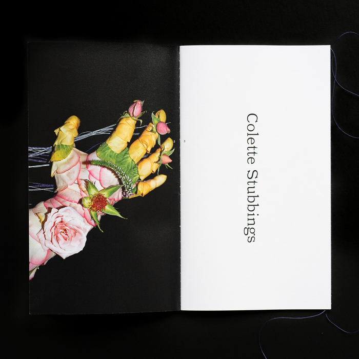 Sitstand zine #3, “Colette Stubbings” 3