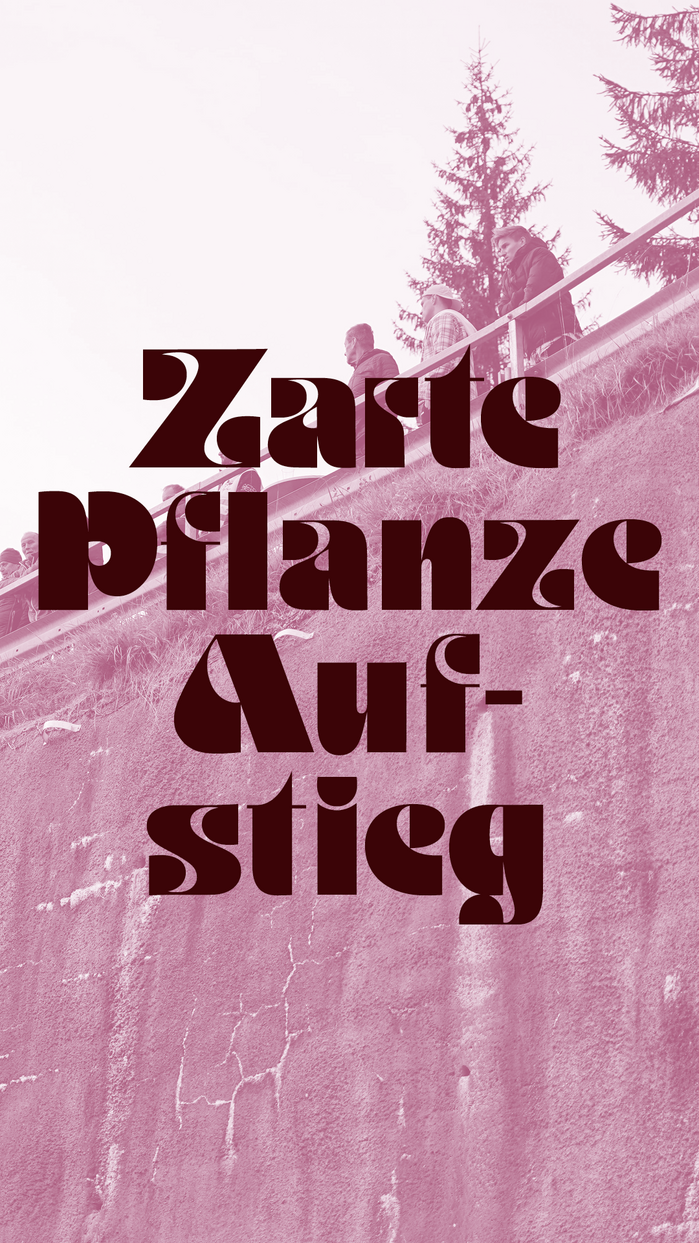 ballesterer magazine #176, February 2023 2