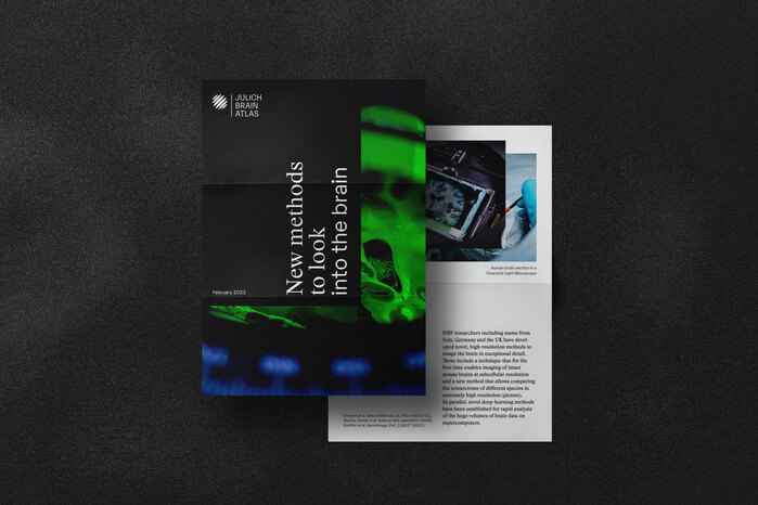Jülich Brain Atlas 1