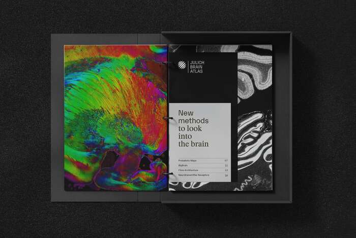 Jülich Brain Atlas 8