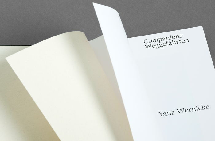 Companions by Yana Wernicke 2