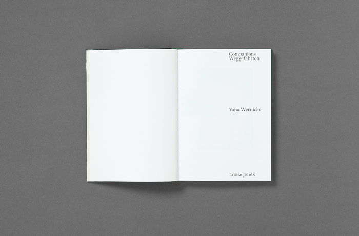 Companions by Yana Wernicke 3