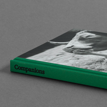 <cite>Companions</cite> by Yana Wernicke