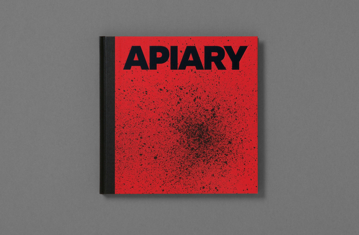 Apiary by Robin Friend 1