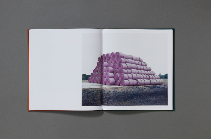 Bastard Countryside by Robin Friend 7