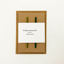 <cite>To Burn, Forest, Fire</cite> by Katie Paterson