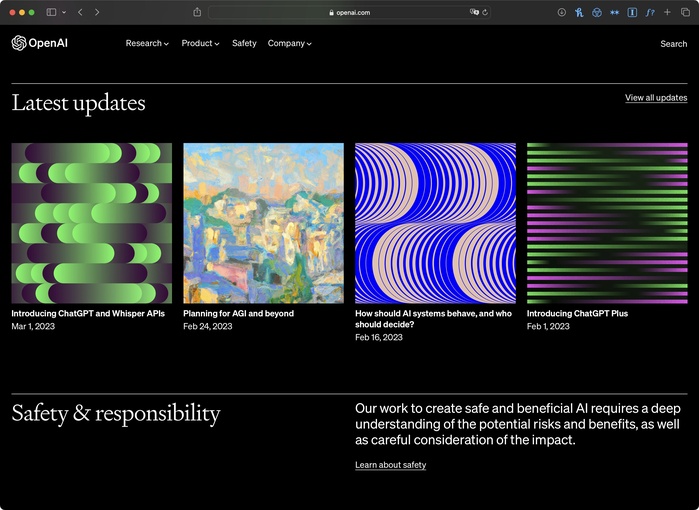 OpenAI website 2