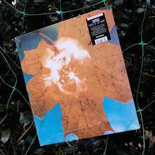 SOYUZ – <cite>Force of the Wind</cite> album art