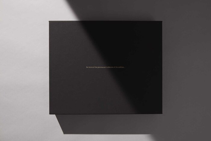 Fawaz Gruosi’s Amber, High and Fine collections 8