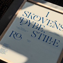 Studio Bitte posters