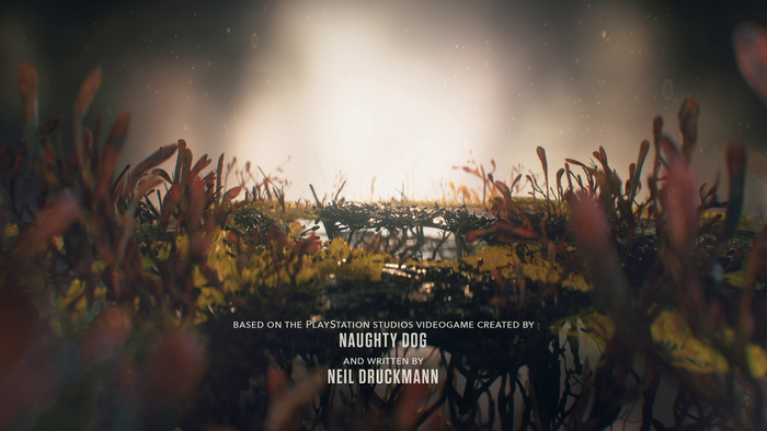 The Last of Us posters and titles 5