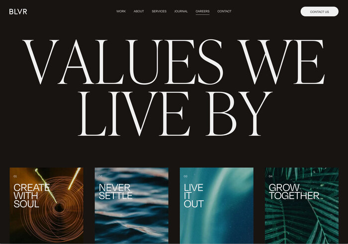 BLVR website 3