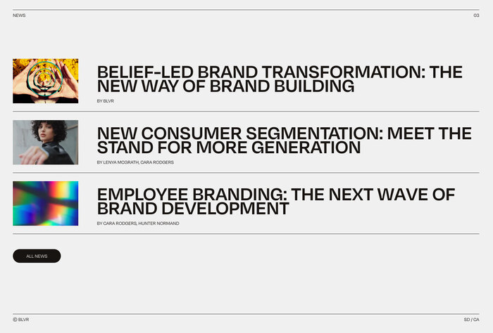 BLVR website 4