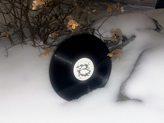 Vinyl record with label