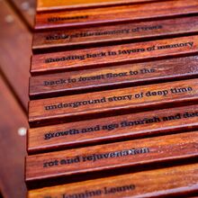 Melbourne Connect benches