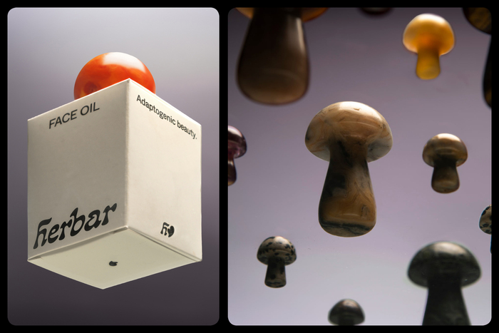 Herbar 2