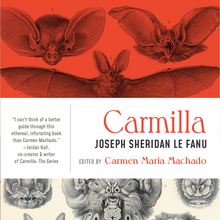 <span>Clockwork Editions book series,</span><span><span> Lanternfish Press</span></span>