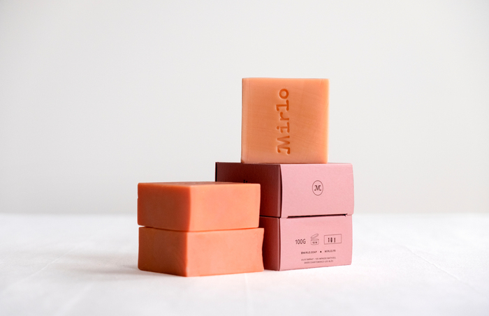 Mirlo visual identity 6