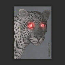 <cite>If Only You Could See What I’ve Seen with Your Eyes</cite> and <cite>If Only You Could See What I’ve Seen with Your Eyes, Stage 2 </cite>– Katja Novitskova