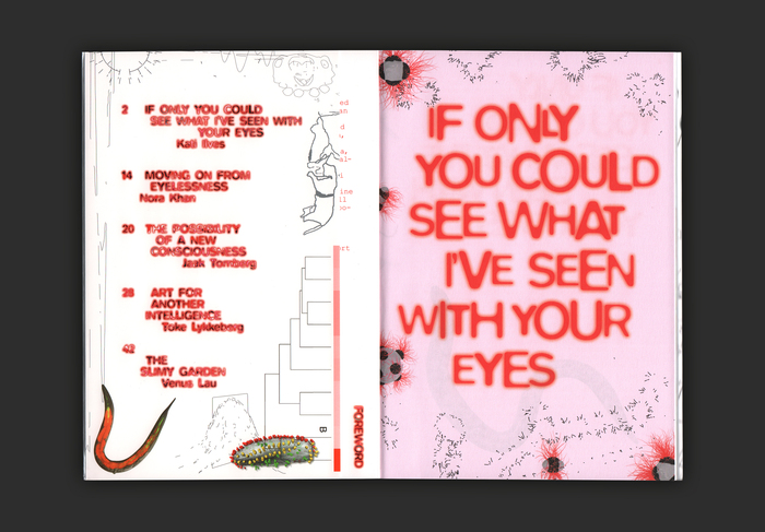 Table of contents and title page from If Only You Could See What I’ve Seen with Your Eyes, 2017