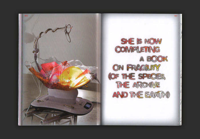 Spread from If Only You Could See What I’ve Seen with Your Eyes, 2017