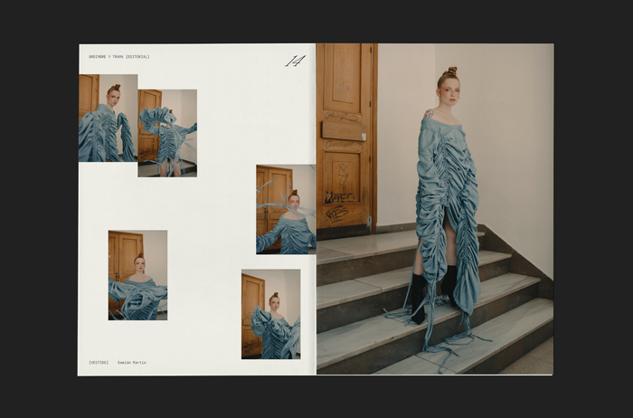 AL BIES magazine 6