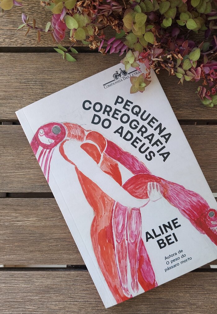 Pequena Coreografia do Adeus by Aline Bei 3