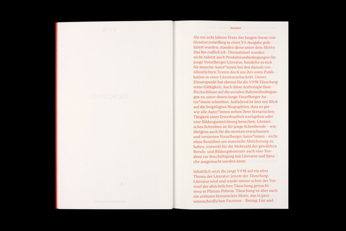 V#38 Täuschung magazine 3