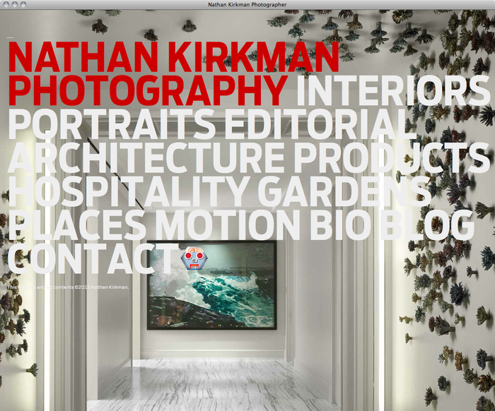 Nathan Kirkman website 6